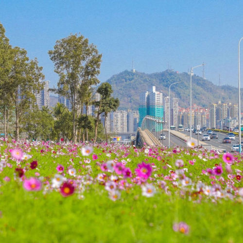 珠海市实施环境影响评价文件告知承诺制审批的建设项目名录